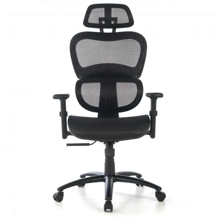 Sedia Ergonomica Ergocity, cuscino lombare, braccioli 3D