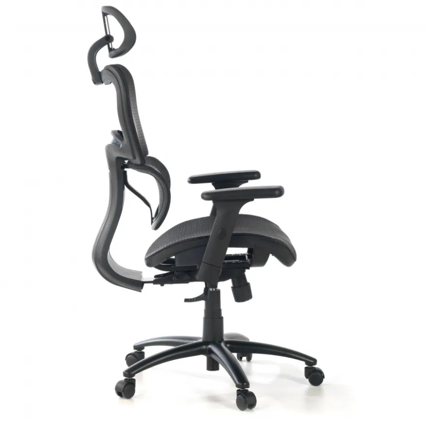 Sedia Ergonomica Ergocity, cuscino lombare, braccioli 3D