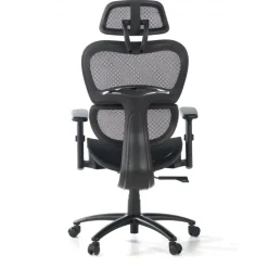 Sedia Ergonomica Ergocity, cuscino lombare, braccioli 3D