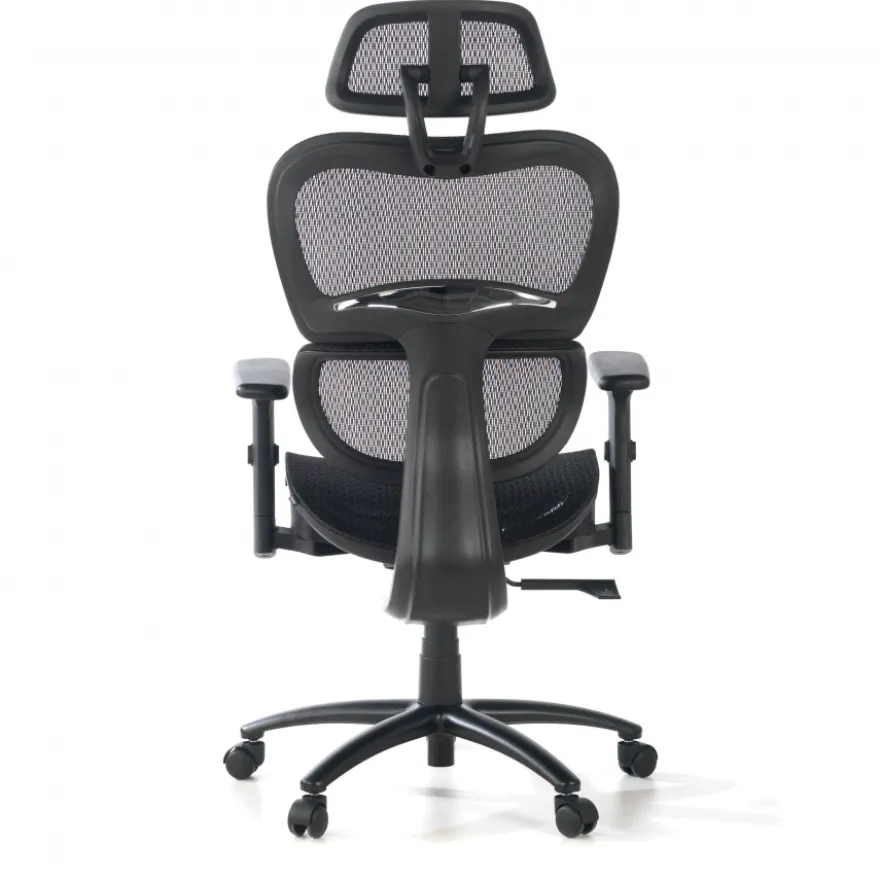Sedia Ergonomica Ergocity, cuscino lombare, braccioli 3D