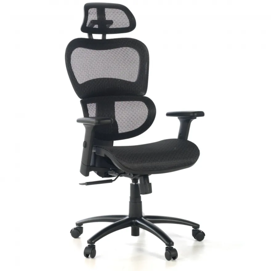 Sedia Ergonomica Ergocity, cuscino lombare, braccioli 3D