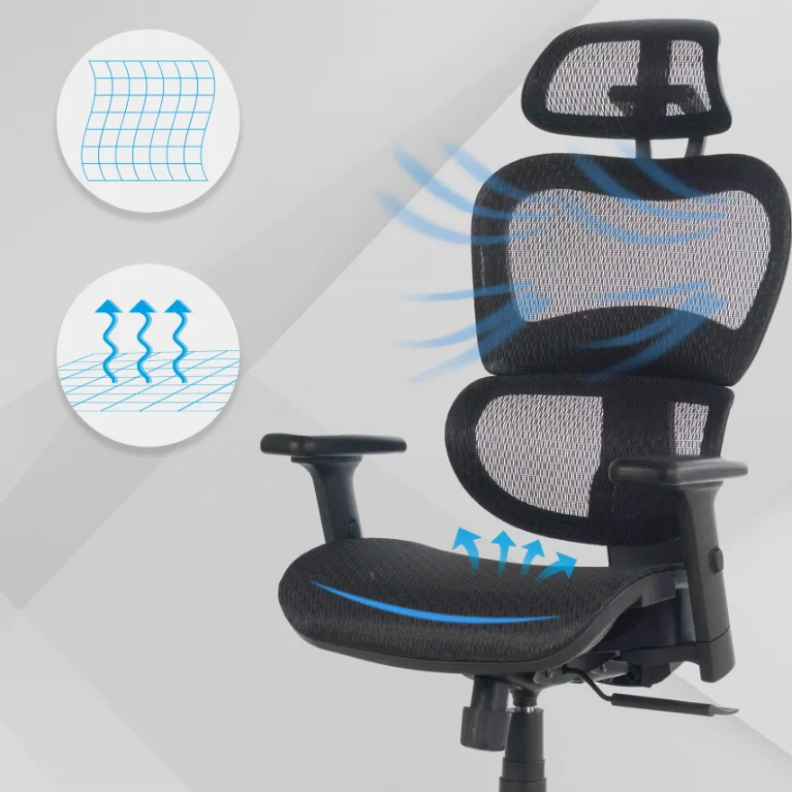 Sedia Ergonomica Ergocity, cuscino lombare, braccioli 3D