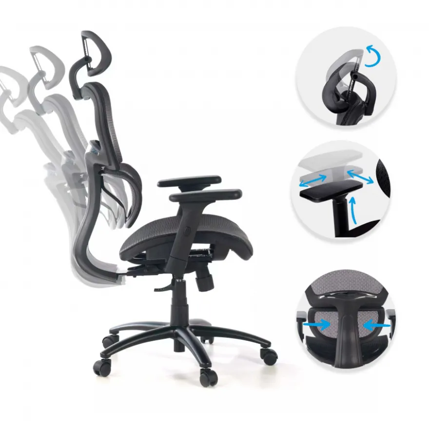 Sedia Ergonomica Ergocity, cuscino lombare, braccioli 3D