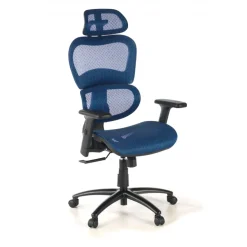 Sedia Ergonomica Ergocity, cuscino lombare, braccioli 3D