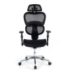 Sedia Ergonomica Ergocity FX, base in alluminio e rete TechSport