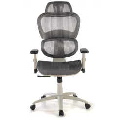 Sedia Ergonomica Ergocity white cuscino lombare, braccioli 3D