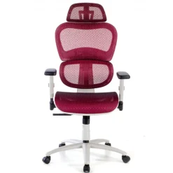 Sedia Ergonomica Ergocity white cuscino lombare, braccioli 3D