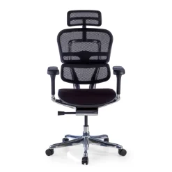 Sedia Ergonomica Ergohuman Elite, seduta imbottita, struttura nera