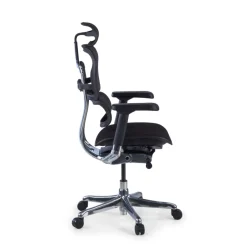 Sedia Ergonomica Ergohuman Elite, seduta imbottita, struttura nera