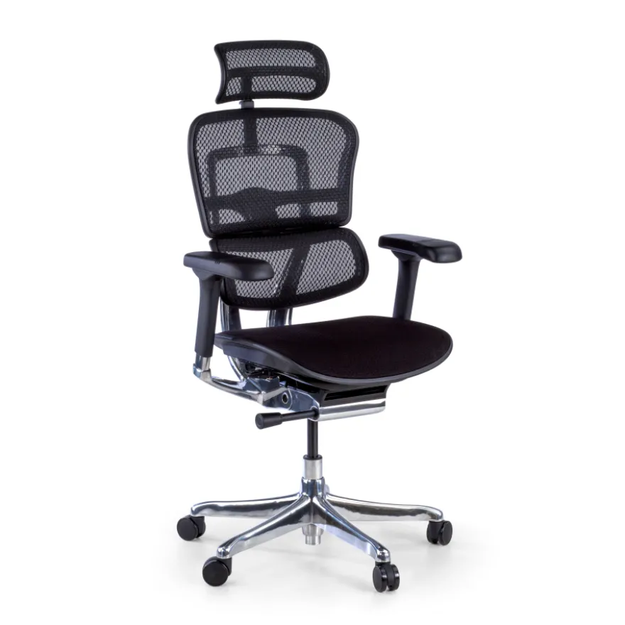 Sedia Ergonomica Ergohuman Elite, seduta imbottita, struttura nera