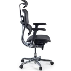 Sedia Ergonomica Ergohuman Elite, pelle naturale