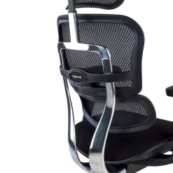 Sedia Ergonomica Ergohuman V2, seduta imbottita, struttura nera