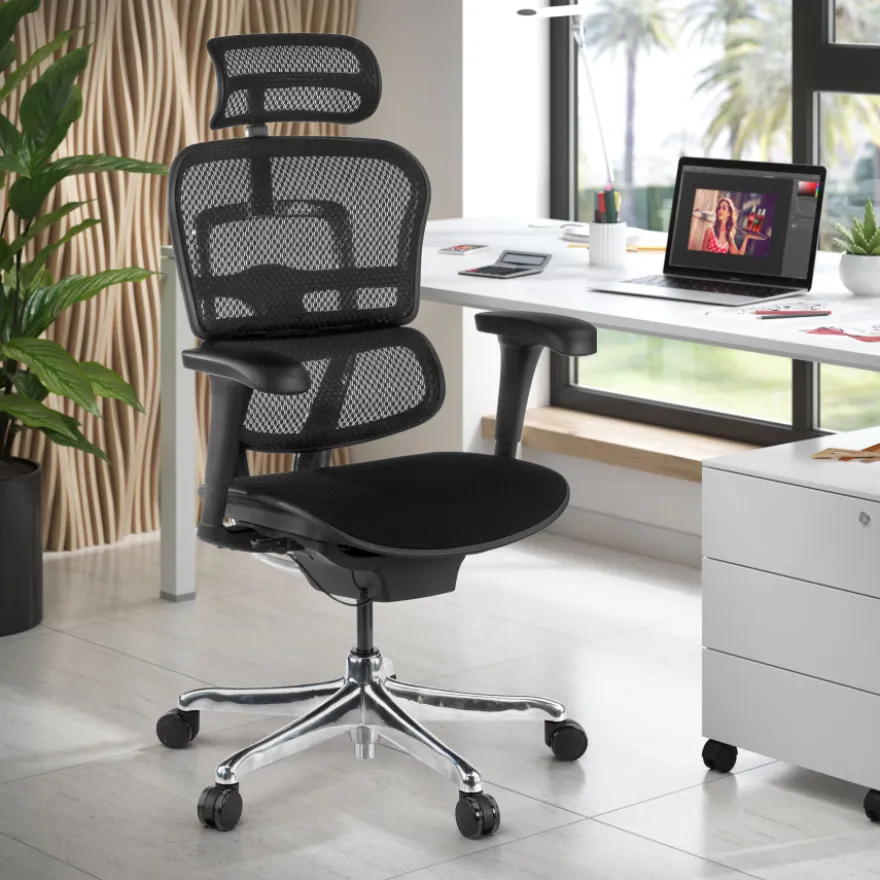 Sedia Ergonomica Ergohuman V2, seduta imbottita, struttura nera