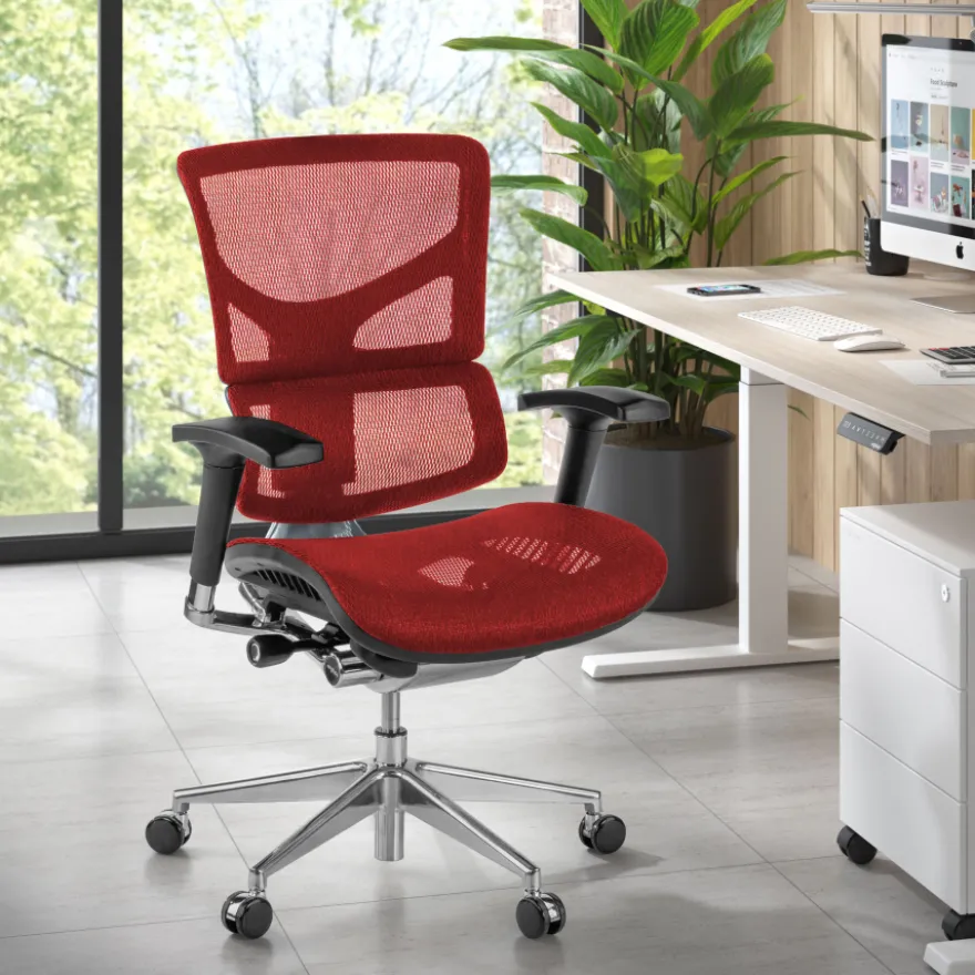 Sedia Ergonomica Next2, modello premium