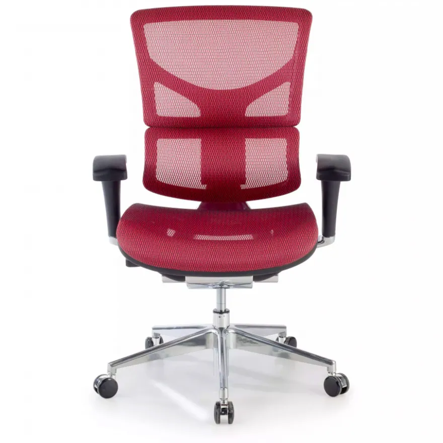 Sedia Ergonomica Next2, modello premium