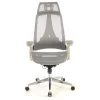 Sedia Ergonomica Thunder, premium, supporto lombare, rete