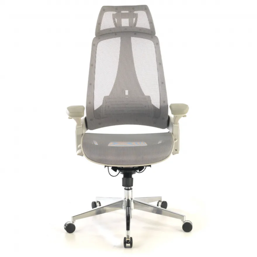 Sedia Ergonomica Thunder, premium, supporto lombare, rete