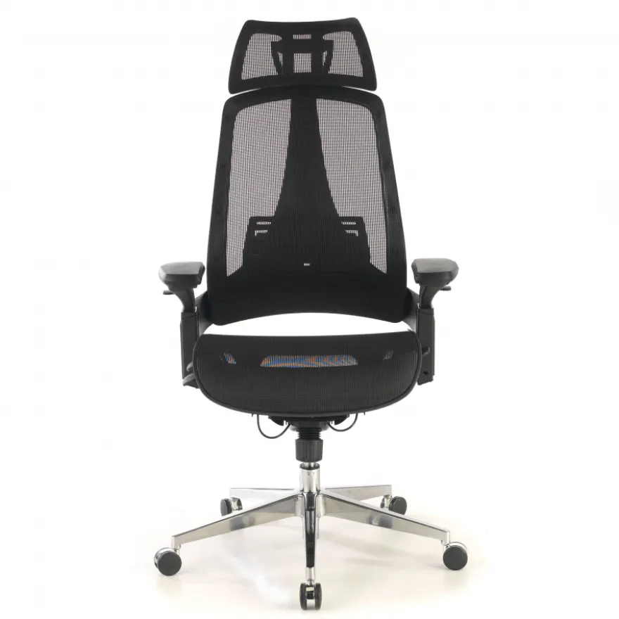Sedia Ergonomica Thunder, premium, supporto lombare, rete