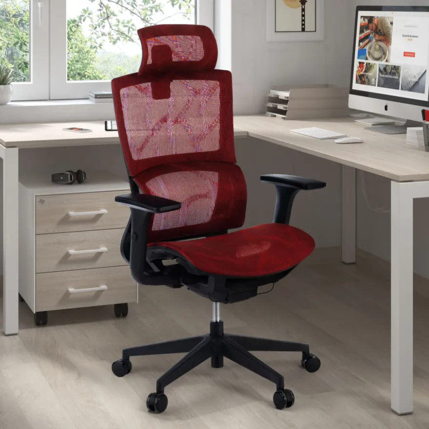 Sedia Ergonomica Winter, Supporto Lombare, Poggiatesta