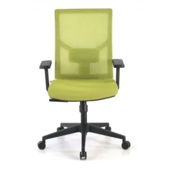 Sedia Ufficio Ergonomica Verdi, braccioli regolabili, supporto lombare,