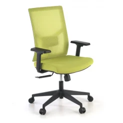 Sedia Ufficio Ergonomica Verdi, braccioli regolabili, supporto lombare,