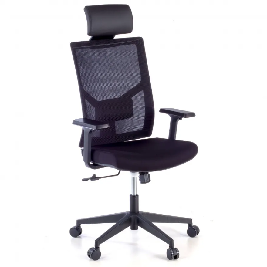 Sedia Ufficio Ergonomica Verdi, braccioli regolabili, con poggiatesta