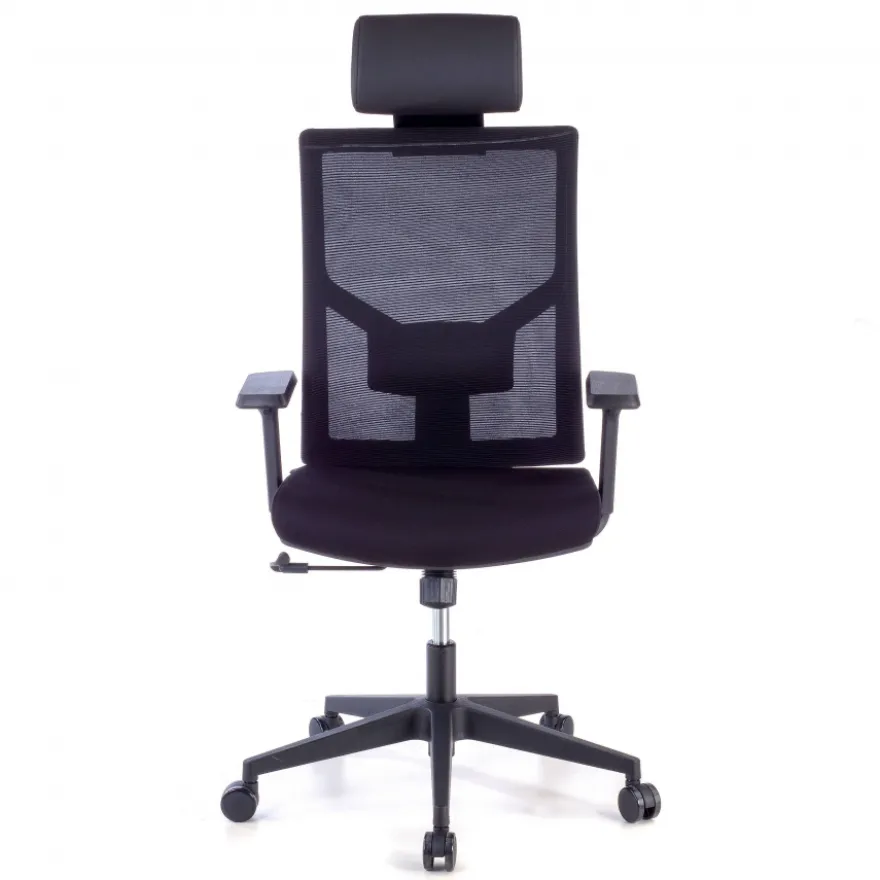 Sedia Ufficio Ergonomica Verdi, braccioli regolabili, con poggiatesta