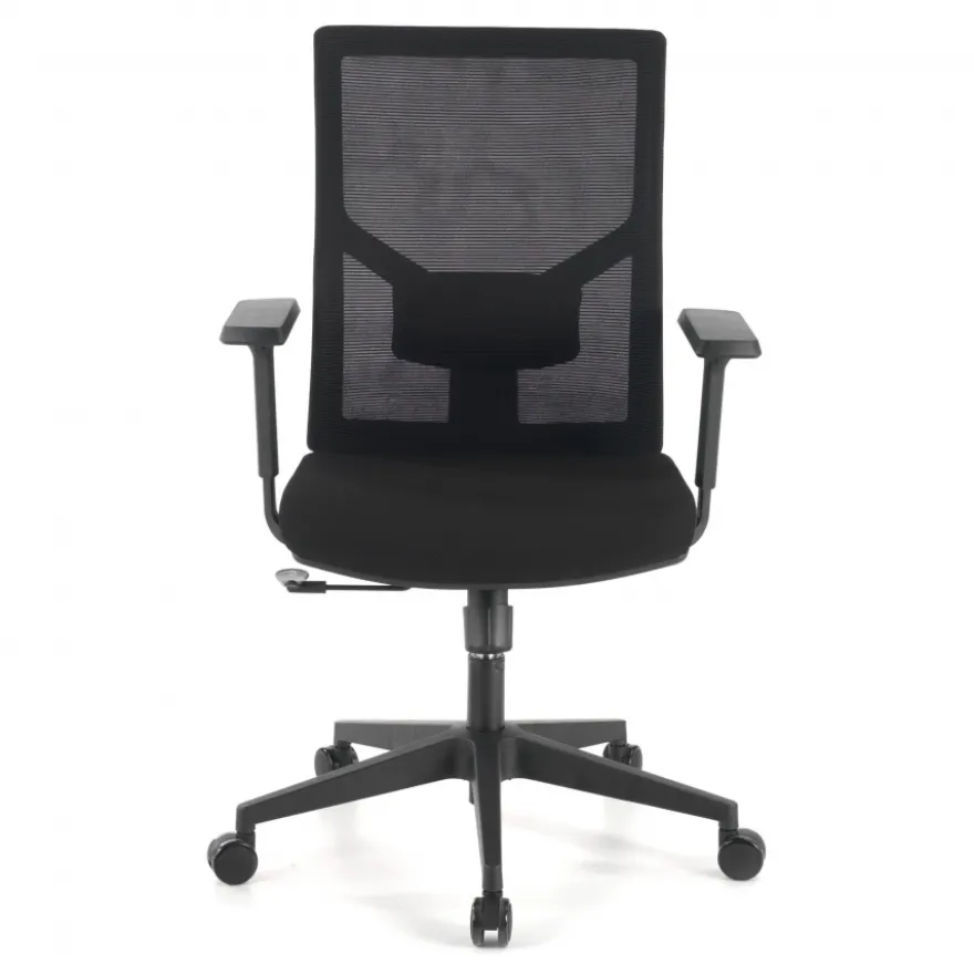Sedia Ufficio Ergonomica Verdi, braccioli regolabili, supporto lombare,
