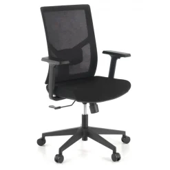 Sedia Ufficio Ergonomica Verdi, braccioli regolabili, supporto lombare,