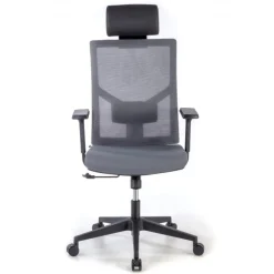 Sedia Ufficio Ergonomica Verdi, braccioli regolabili, con poggiatesta